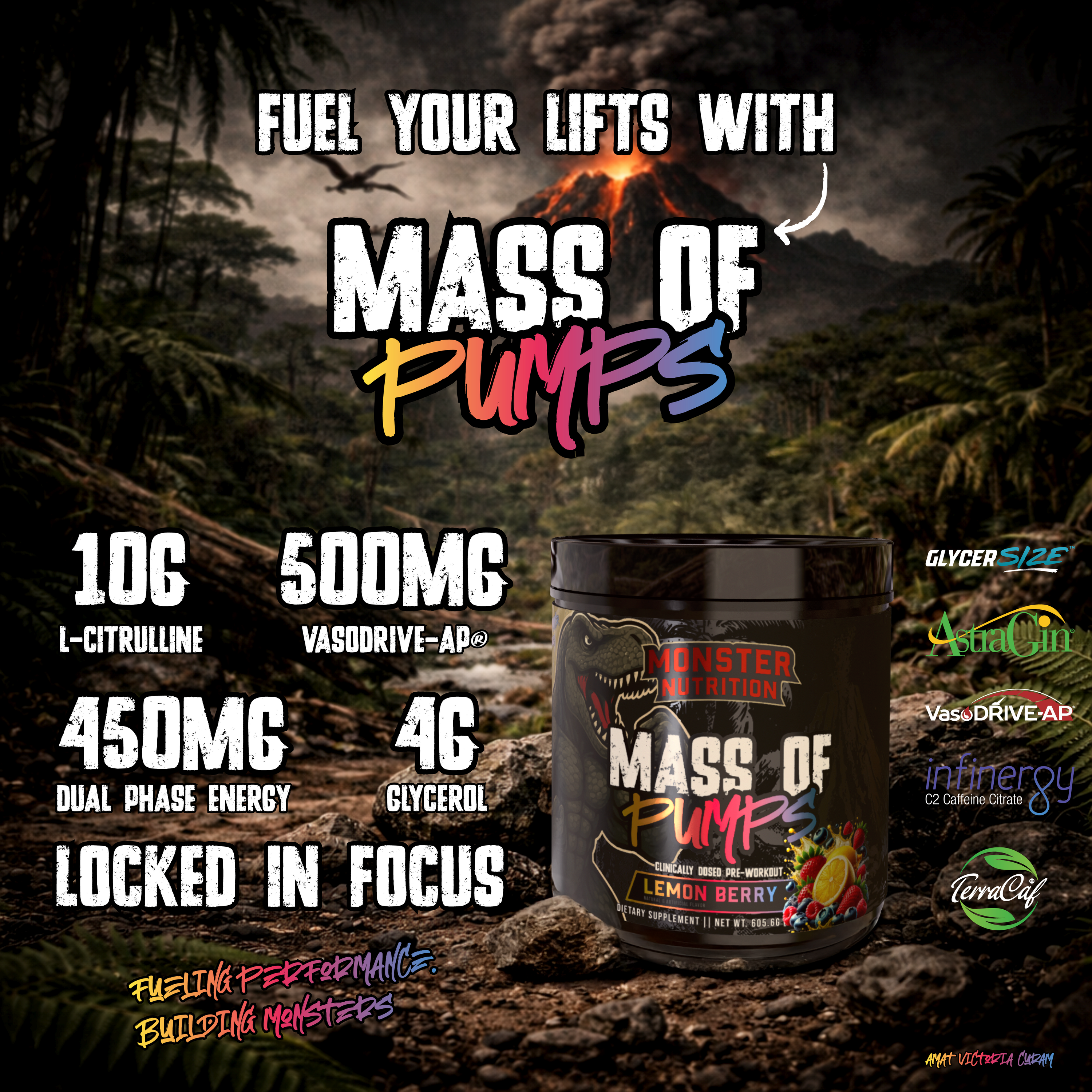 Mass of Pumps