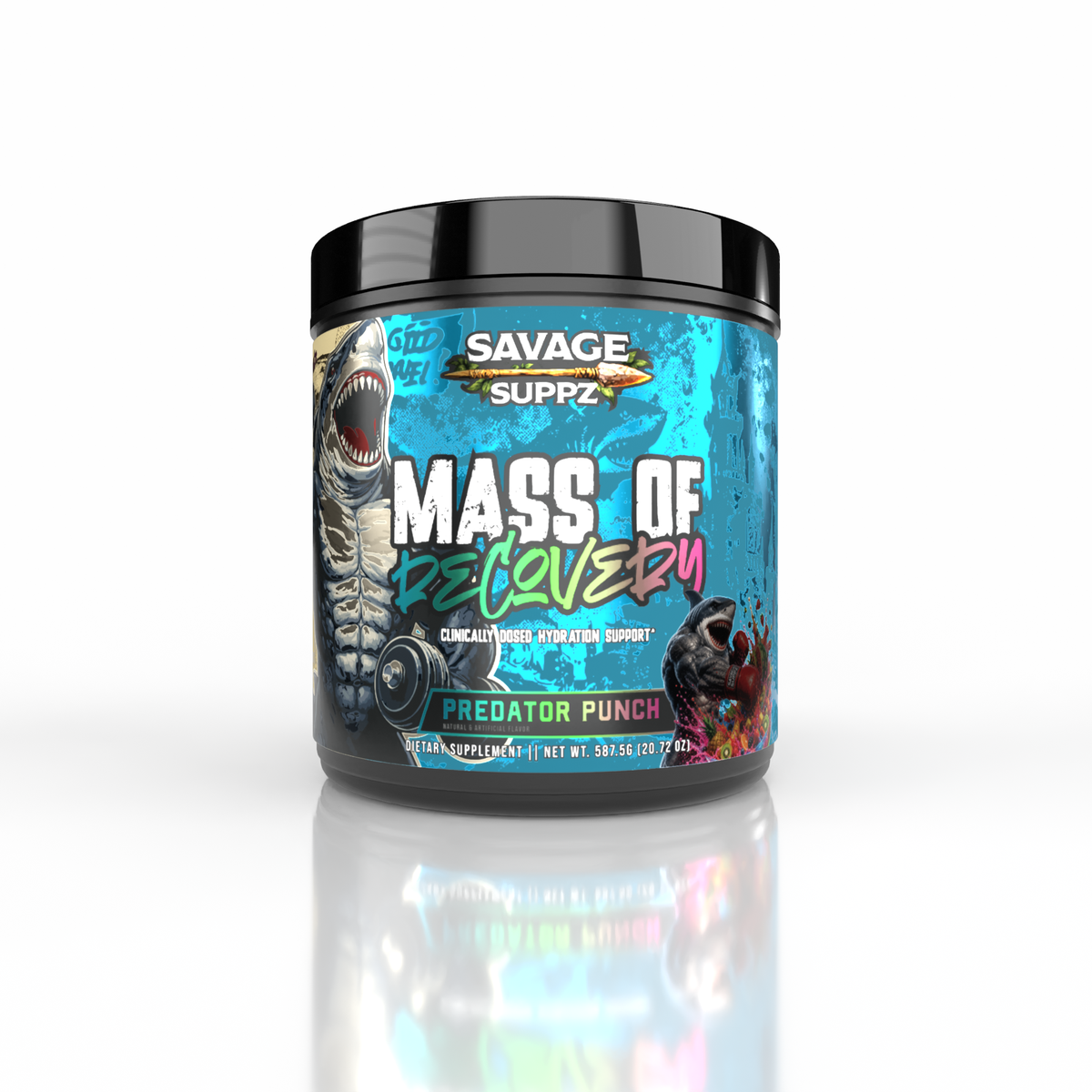 Mass of Recovery - Power Punch